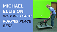 Michael Ellis on Why We Teach Puppies Place Beds