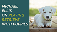 Michael Ellis on Playing Retrieve with Puppies