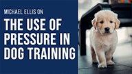 Michael Ellis on The Use of Pressure in Dog Training