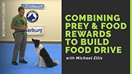 Combining Prey and Food Rewards to Build Food Drive with Michael Ellis