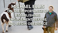 Michael Ellis on The Importance of Establishing Engagement Before You Begin Obedience