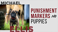 Punishment Markers and Puppies with Michael Ellis