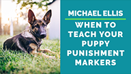 Michael Ellis on When to Teach Your Puppy Punishment Markers