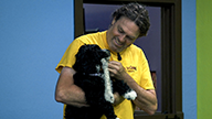 Puppy Development Workshop with Michael Ellis