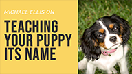 Michael Ellis on Teaching Your Puppy Its Name