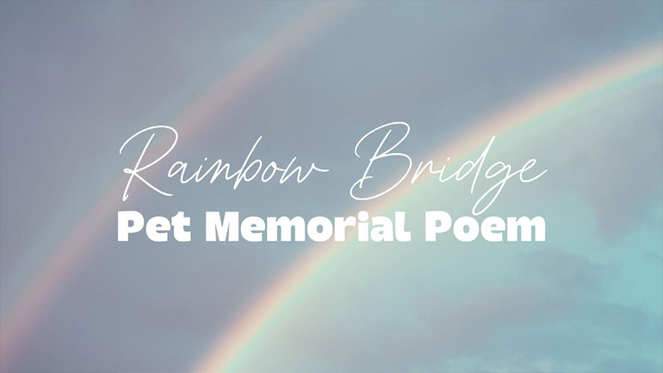 The Rainbow Bridge