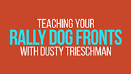 Teaching Your Rally Dog Fronts with Dusty Trieschman