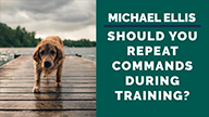 Michael Ellis on Should You Repeat Commands During Training
