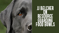 JJ Belcher on Resource Guarding Food Bowls