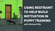 Michael Ellis on Using Restraint to Help Build Motivation in Puppy Training 