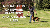 Michael Ellis on Reward Placement and Potential Uses