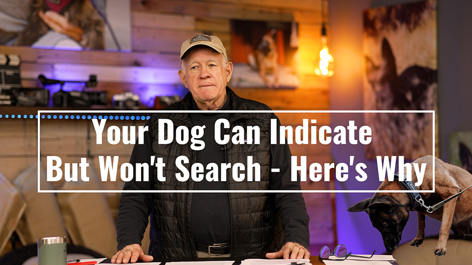 Your Dog Can Indicate But Wont Search - Heres Why