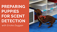 Preparing Puppies for Scent Detection with Ericka Duggan