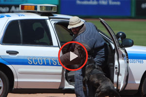 The Desert Dog Police Dog Trials - Scottsdale, AZ