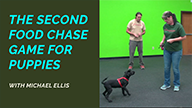 The Second Chase Game For Puppies with Michael Ellis