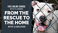 Shy and Fearful Dogs with JJ Belcher