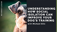 Understanding How Social Isolation Can Improve Your Dog’s Training with Michael Ellis