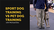 Sport Dog Training vs Pet Dog Training with Michael Ellis