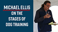 Michael Ellis on The Stages of Dog Training