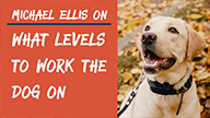 Michael Ellis on What Levels to Work the Dog On