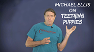 Michael Ellis on Teething Puppies