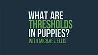 What Are Thresholds in Puppies? with Michael Ellis