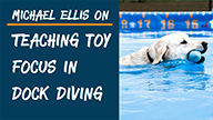 Michael Ellis on Teaching Toy Focus in Dock Diving