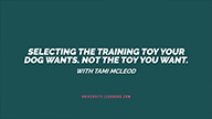 Selecting the Training Toy Your Dog Wants. Not the Toy You Want - with Tami McLeod
