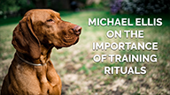 Michael Ellis on The Importance of Training Rituals