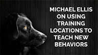 Michael Ellis on Using Training Locations to Teach New Behaviors
