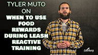Tyler Muto on When to Use Food Rewards During Leash Reactive Training