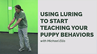 Michael Ellis on Using Luring to Start Teaching Your Puppy Behaviors