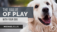 The Value of Play with Your Dog with Michael Ellis