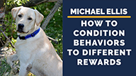 Michael Ellis on How to Condition Behaviors to Different Rewards