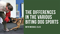 The Differences in the Various Biting Dog Sports with Michael Ellis