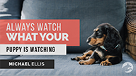 Always Watch What Your Puppy is Watching with Michael Ellis