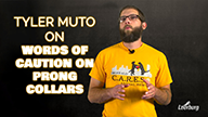 Tyler Muto on Words of Caution on Prong Collars