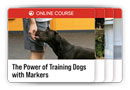 Shop Leerburg's Training Bundles