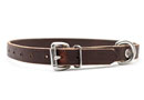 Shop Dog Collars