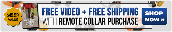 Free Shipping + Streaming Video with Remote Collar Purchase