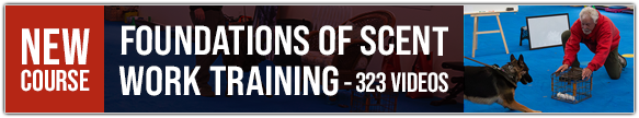 New Course: Foundations of Scent Work Training