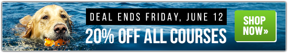 20% Off All Courses