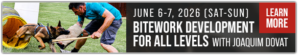 Bitework Development for All Levels with Joaquim Dovat Seminar