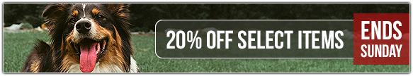 20% Off Christmas in July Sale Ends Sunday, August 2