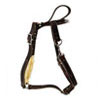 Amish Leather Harnesses