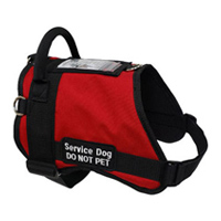 Service Dog