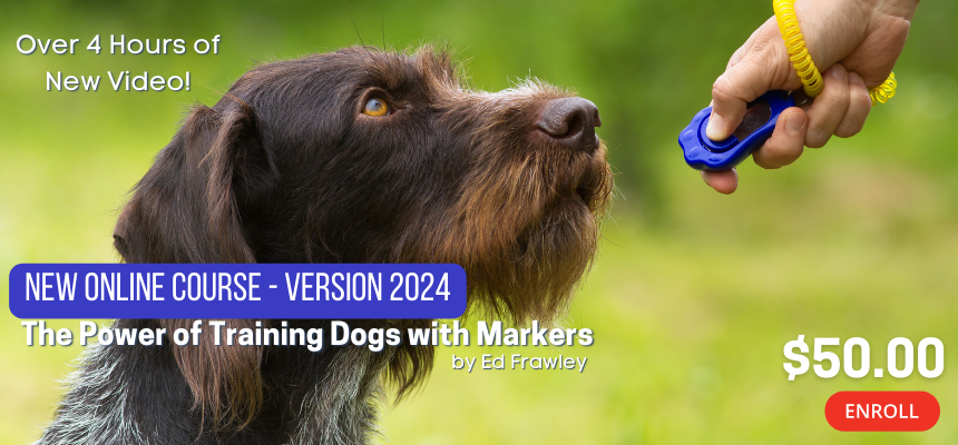 Training Equipment Package - Shades of Blu Dog Training