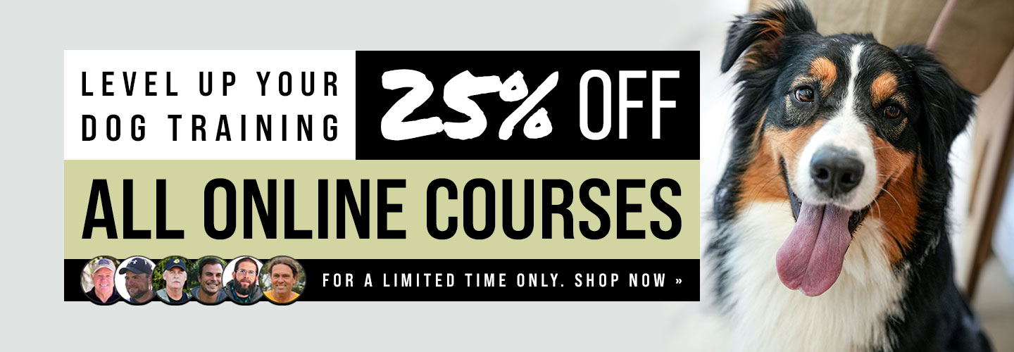 25% Off All Online Courses
