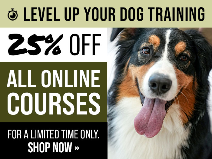 25% Off All Online Courses