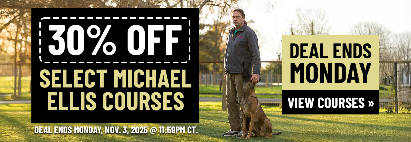 30% Off Select Michael Ellis Courses